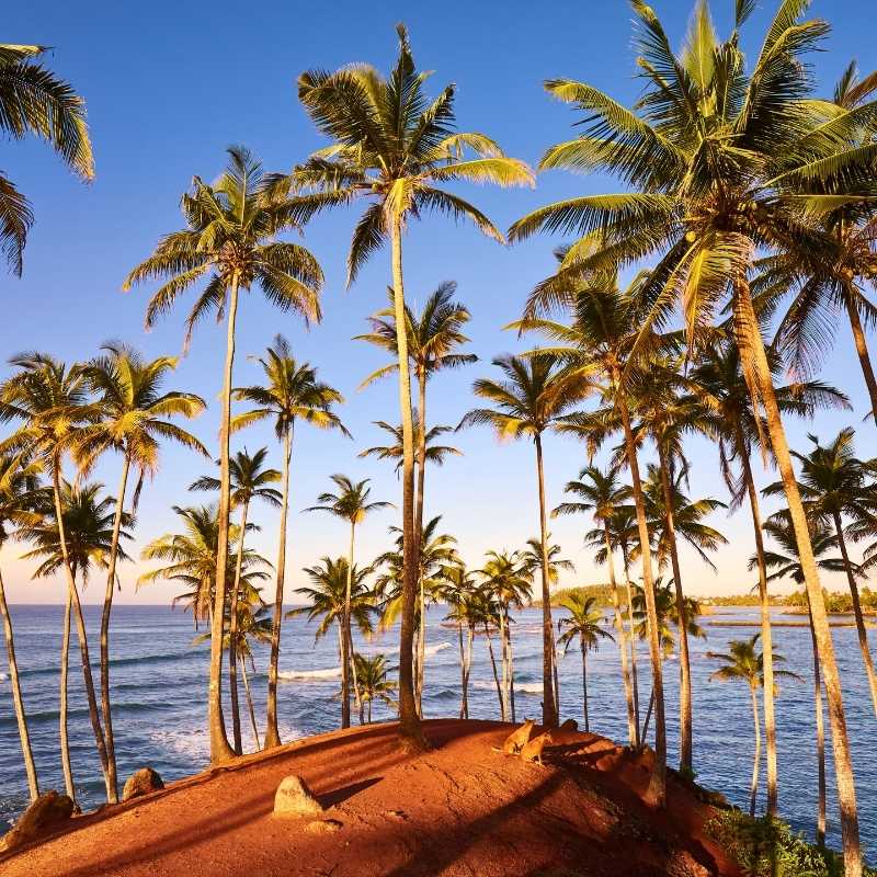 akiyo-tour-thumbnail