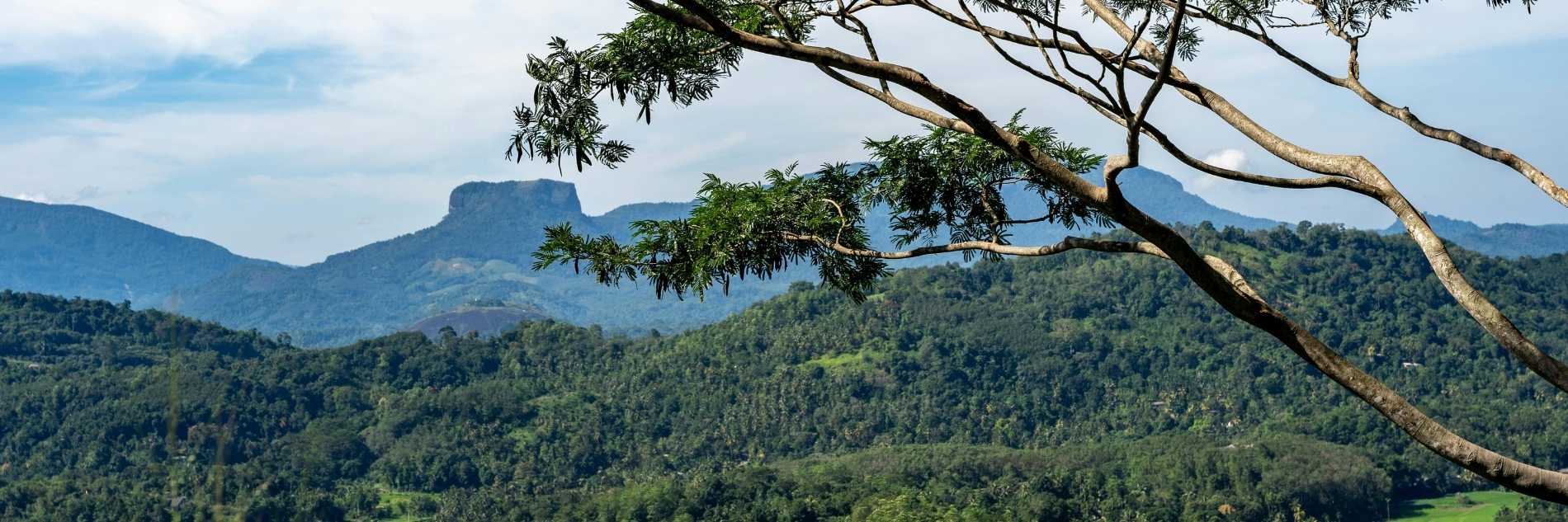 akiyo-portfolio -adventure