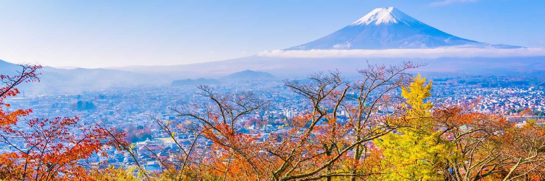 akiyo-portfolio -malaysia