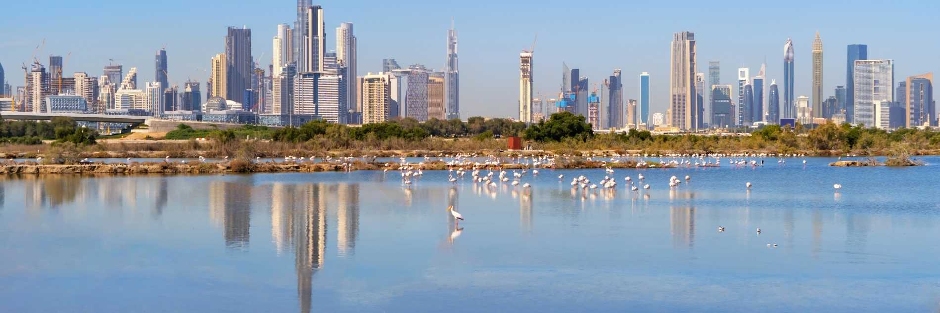 akiyo-portfolio -dubai