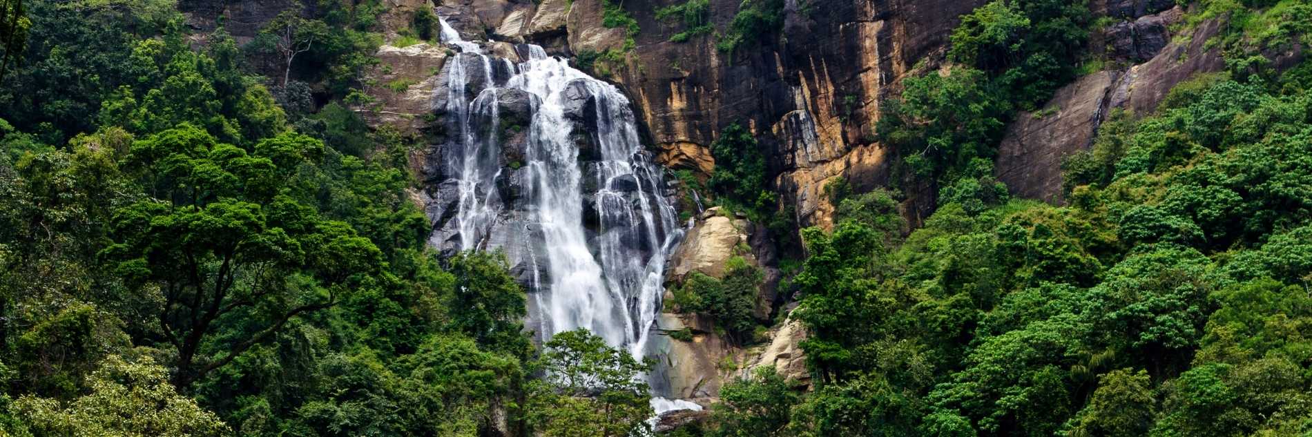 akiyo-portfolio -classic