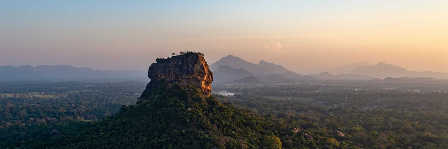 akiyo-portfolio-culture