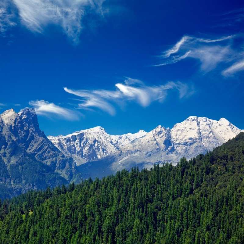 akiyo-tour-thumbnail-himalayan