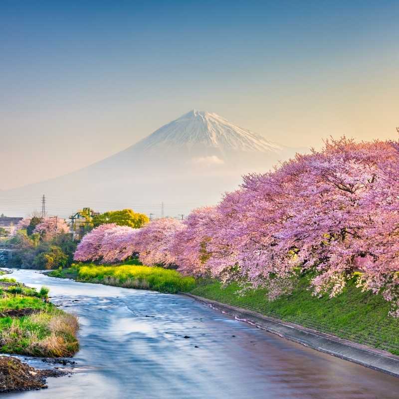 akiyo-tour-thumbnail-japan