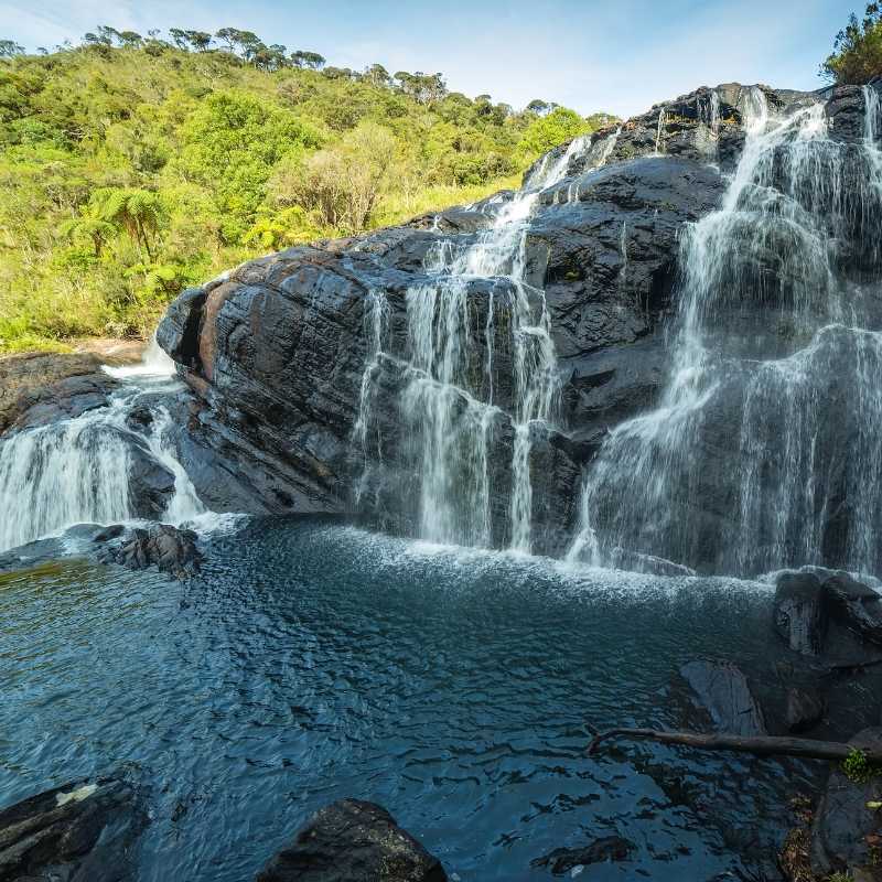 akiyo-tour-thumbnail-nature-wildlife-adventure