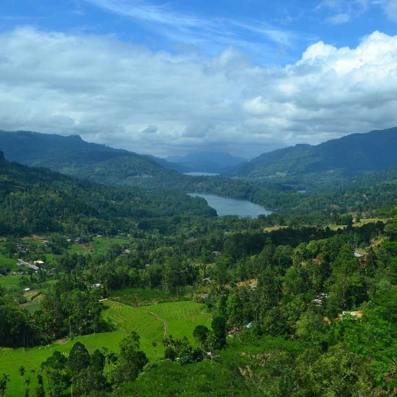 akiyo-tour-thumbnail-island