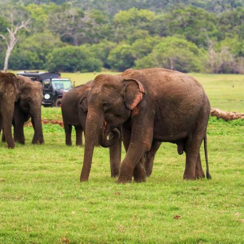 akiyo-tour-thumbnail-wild-heritage-city