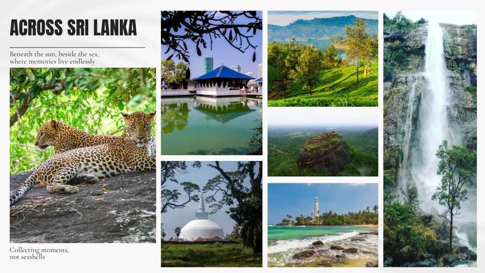 akiyo-video-thumbs-inbound-v2